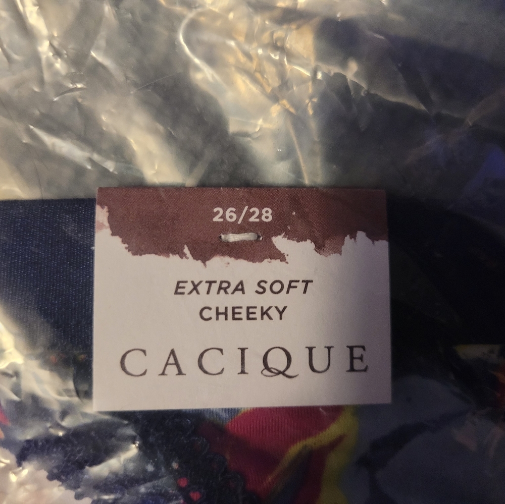 Lane Bryant Extra Soft Cheeky Panties NEW